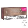 TEREA Teak IQOS-ıluma 200 Sticks
