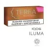 Ermenistan Terea Amber IQOS-ıluma 1 Karton