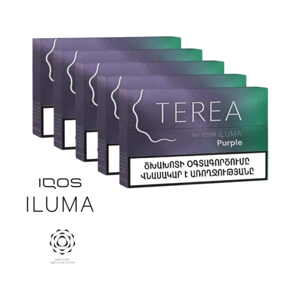 Ermenistan Terea Mauve Wave IQOS-ıluma 1 Karton - Görsel 3
