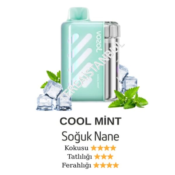 Vozol Vista 40000 Cool Mint-Ferah Nane
