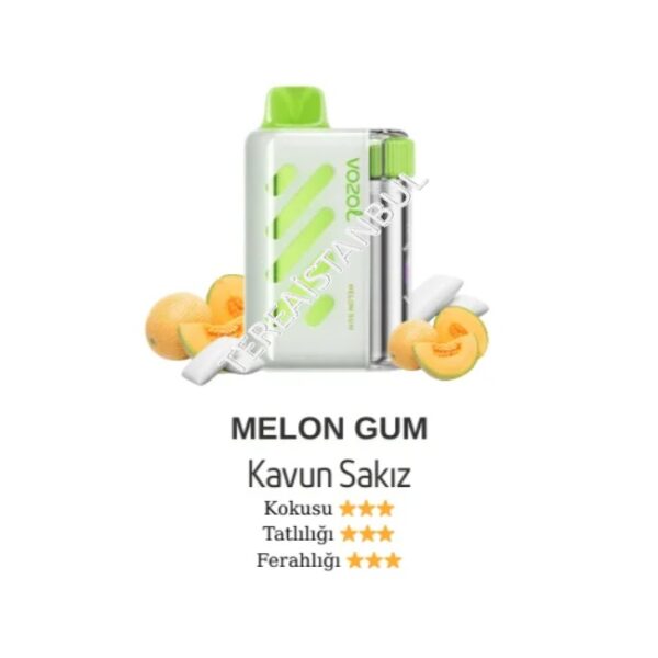 Vozol Vista 40000 Melon Gum-Kavun & Sakız