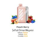 Vozol Vista 40000 Peach Berry-Şeftali