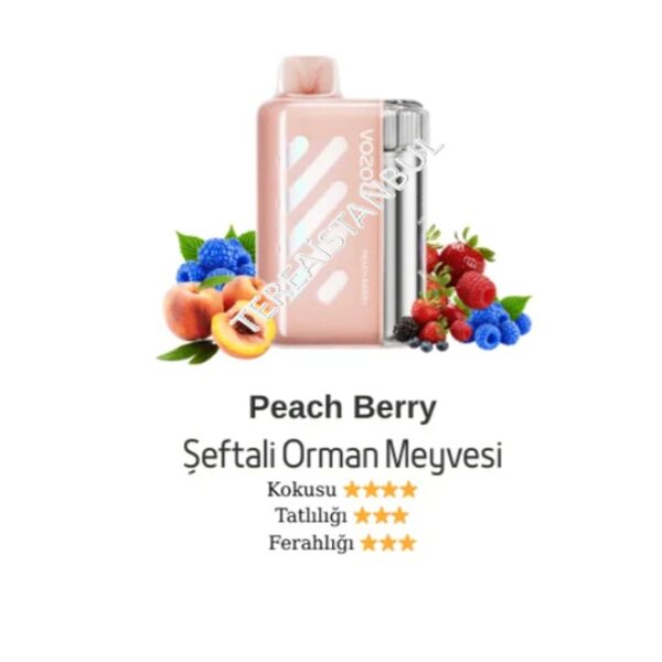 Vozol Vista 40000 Peach Berry-Şeftali