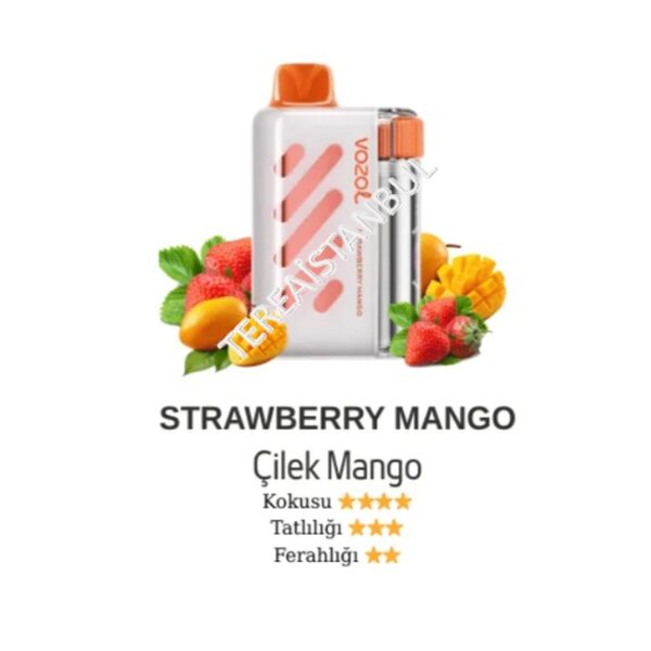 Vozol Vista 40000 Strawberry Mango-Çilek & Mango